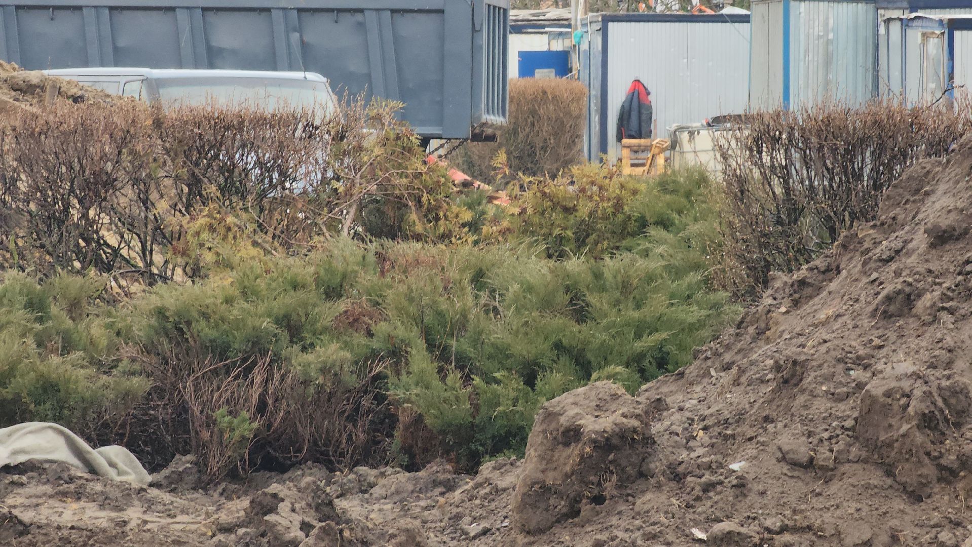 Егорьевск, ПОдмосковье, Московская область, благоустройство,