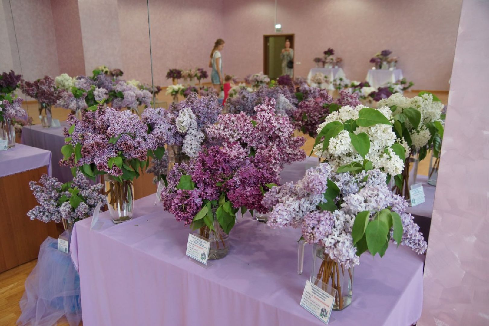 Подольск, фестиваль