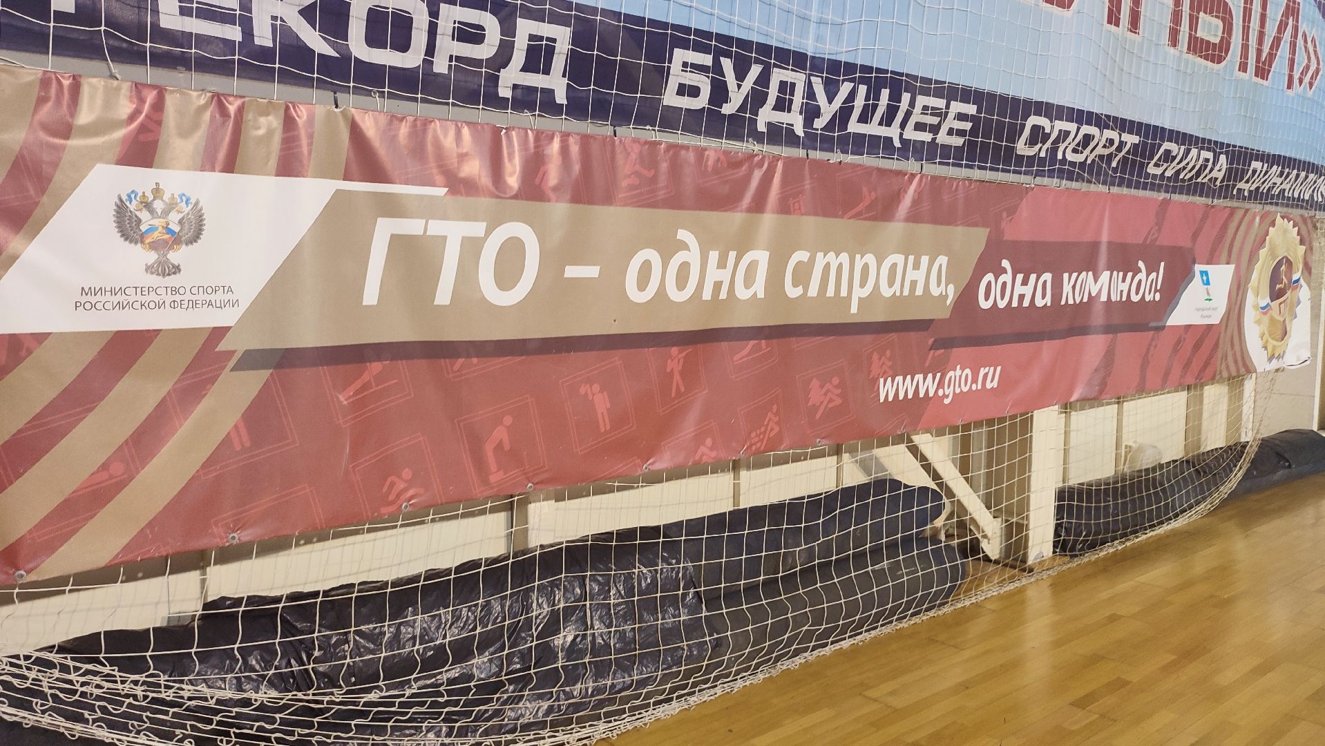 Кашира, ГТО, фестиваль, спорт