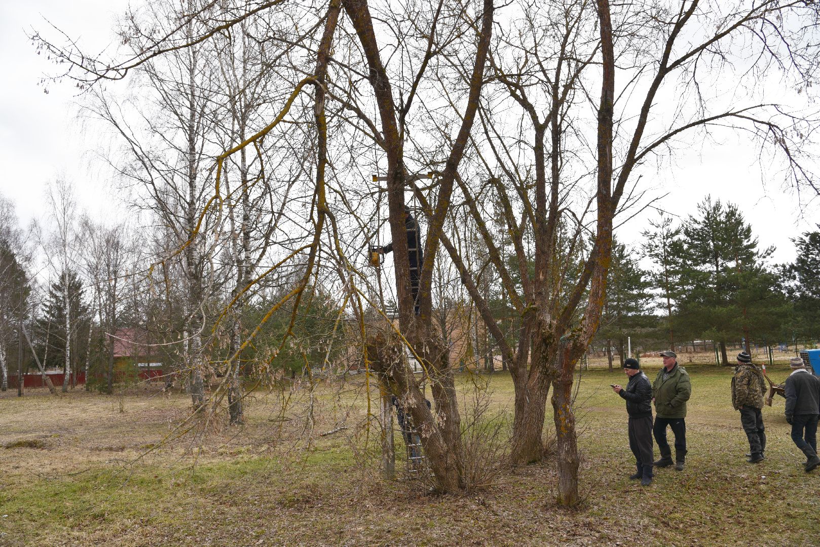 лотошино, благоустройство, савостино, выездная администрация, обращения жителей,