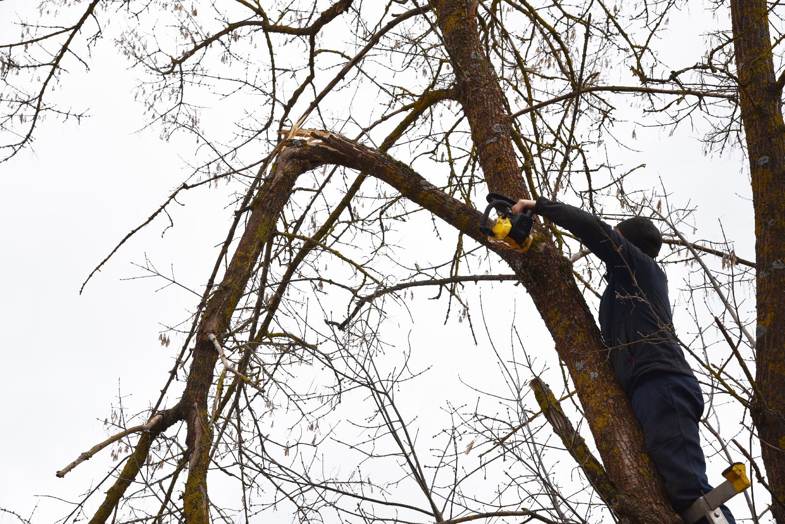 лотошино, благоустройство, савостино, выездная администрация, обращения жителей,