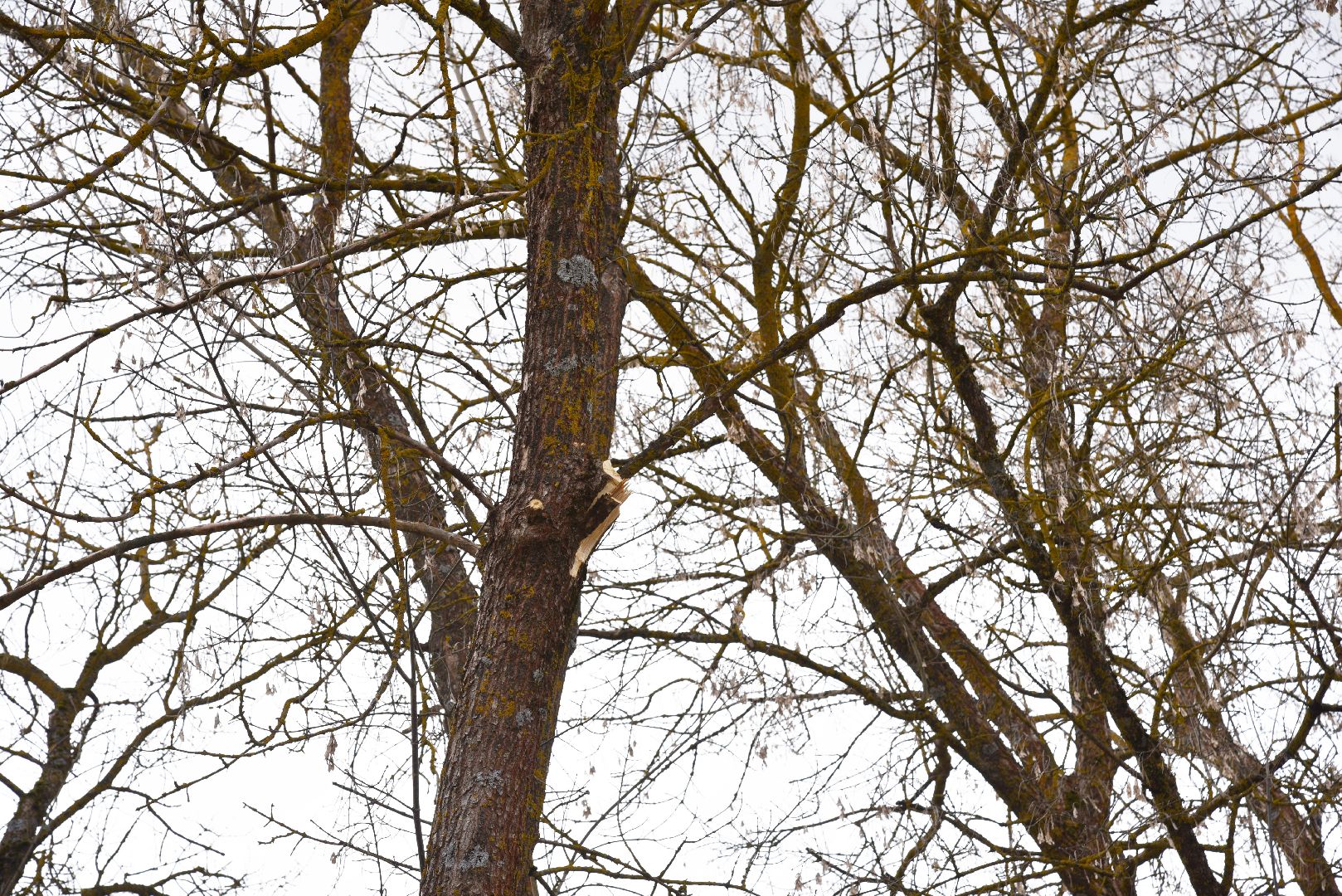 лотошино, благоустройство, савостино, выездная администрация, обращения жителей,