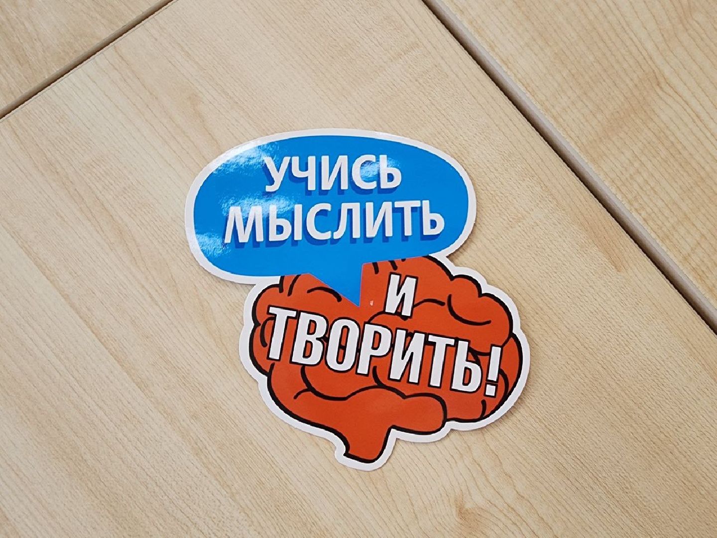 Школа, Истра, 1 класс, Образование,