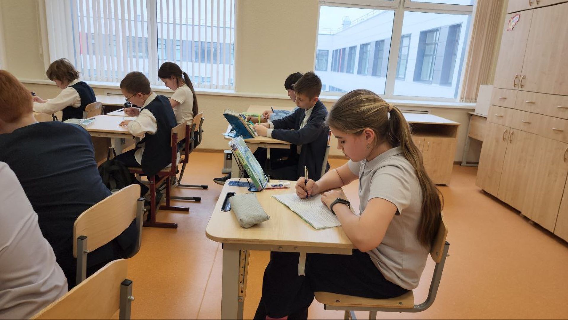 Школа, Истра, Образование, Поведение, Оценки,