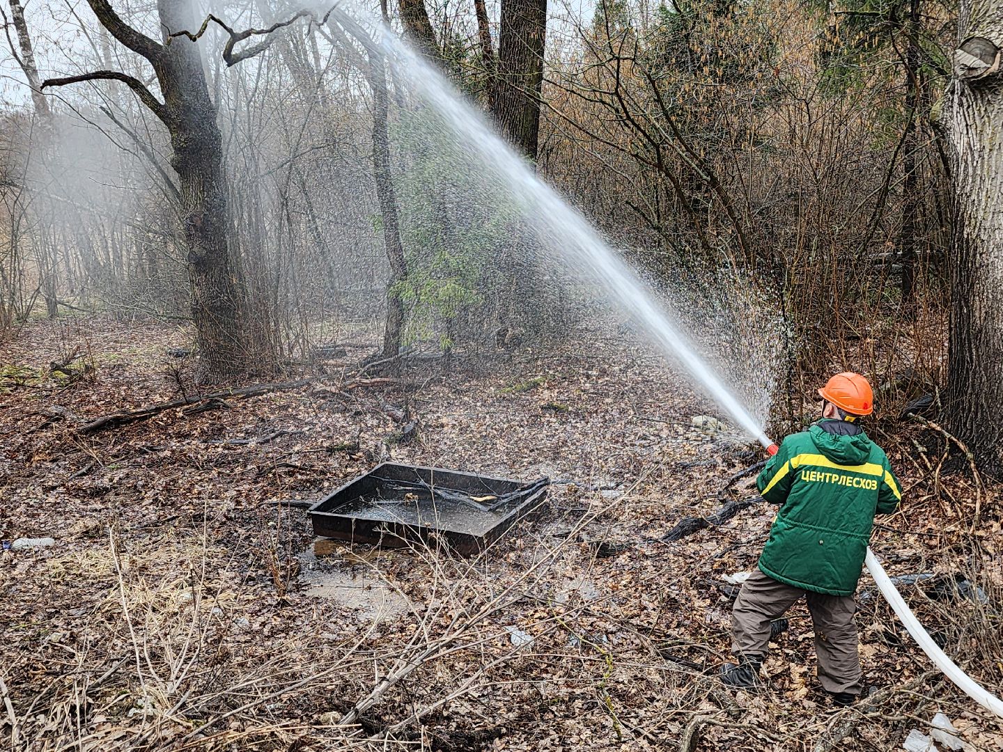 фрязино, пожарные учения, пожароопасный сезон, мчс, лесная охрана,