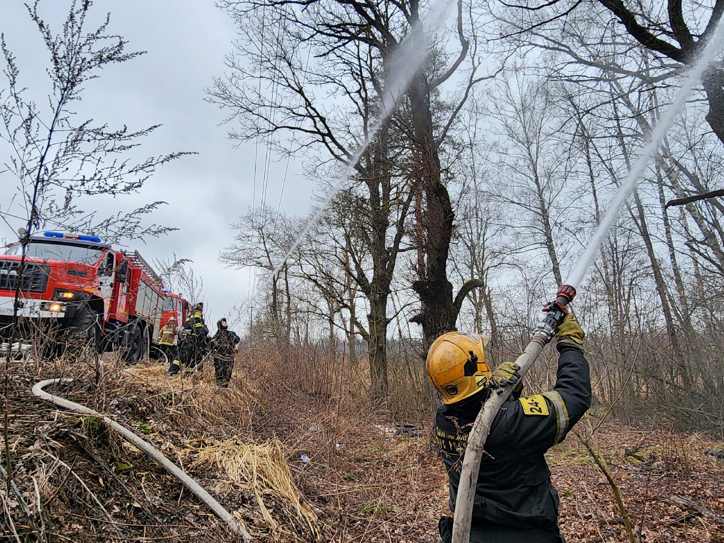 фрязино, пожарные учения, пожароопасный сезон, мчс, лесная охрана,