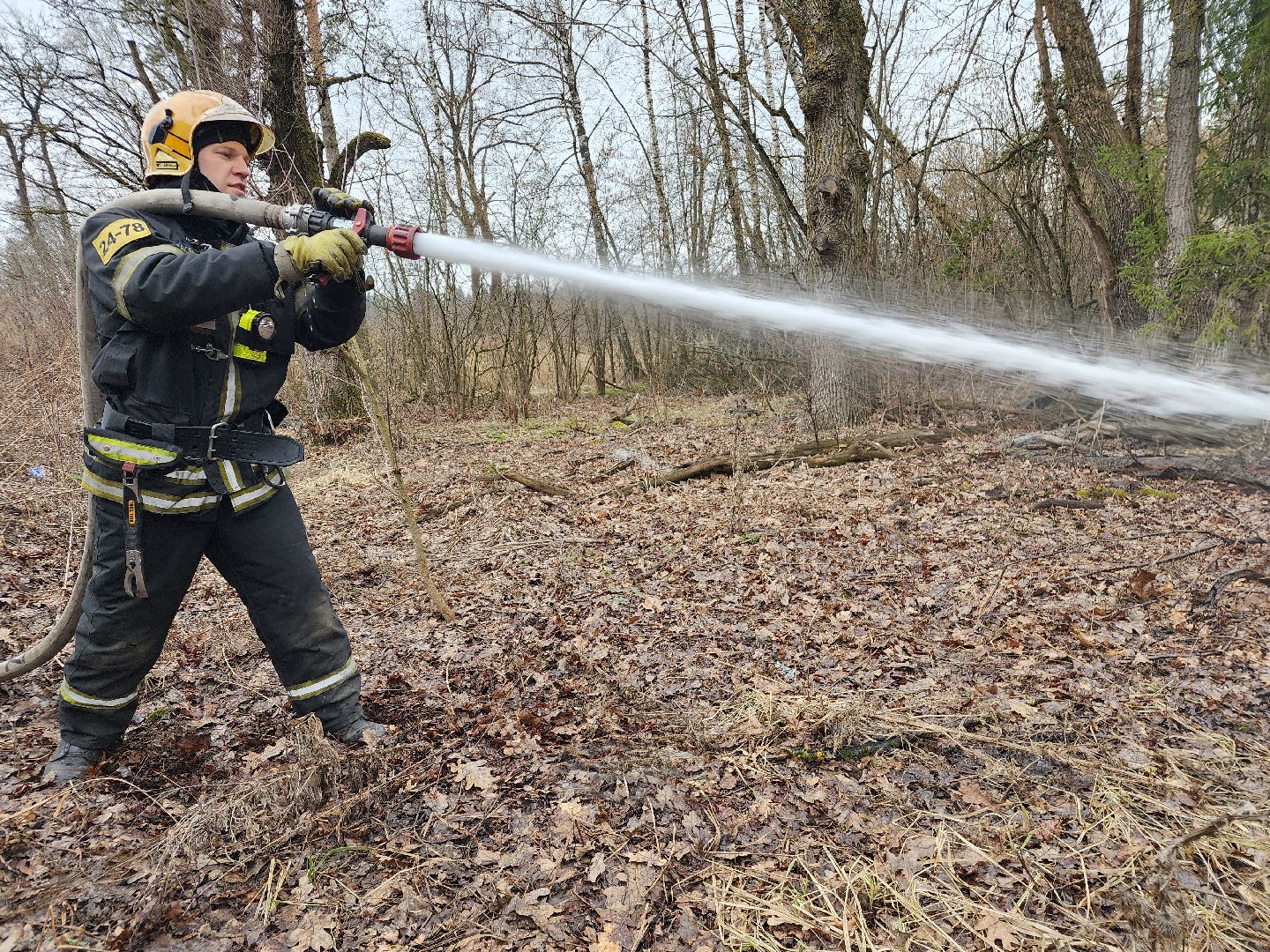 фрязино, пожарные учения, пожароопасный сезон, мчс, лесная охрана,