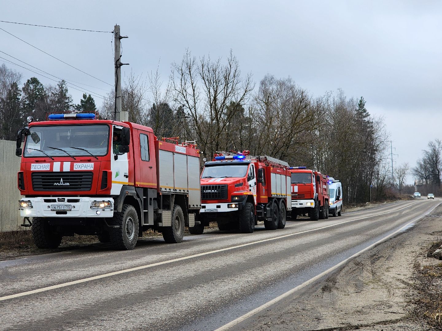 фрязино, пожарные учения, пожароопасный сезон, мчс, лесная охрана,