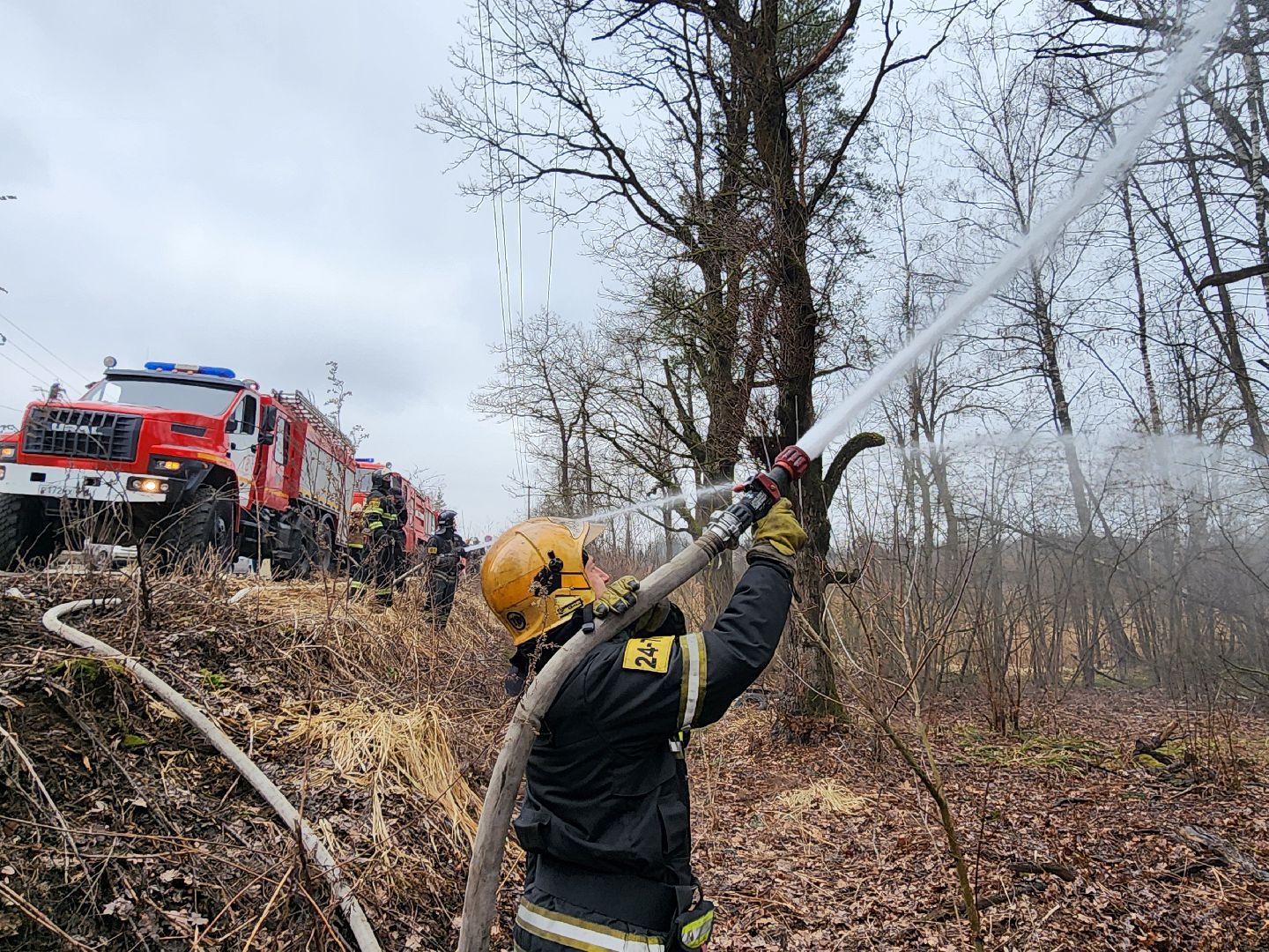 фрязино, пожарные учения, пожароопасный сезон, мчс, лесная охрана,