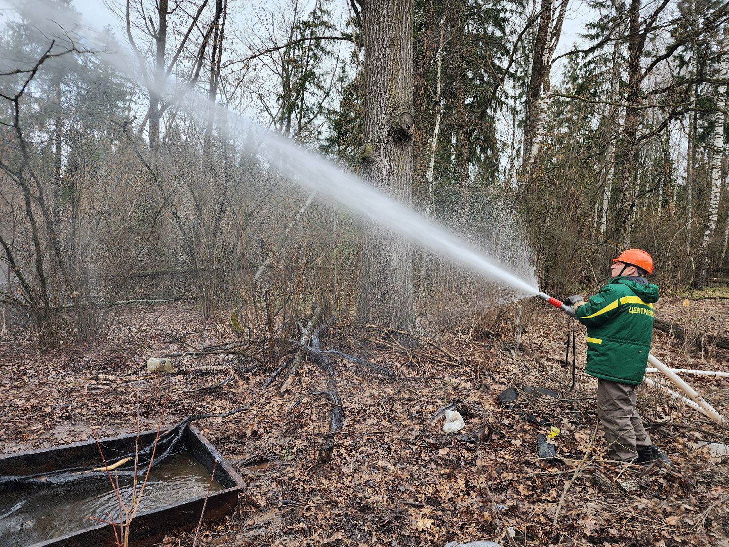 фрязино, пожарные учения, пожароопасный сезон, мчс, лесная охрана,