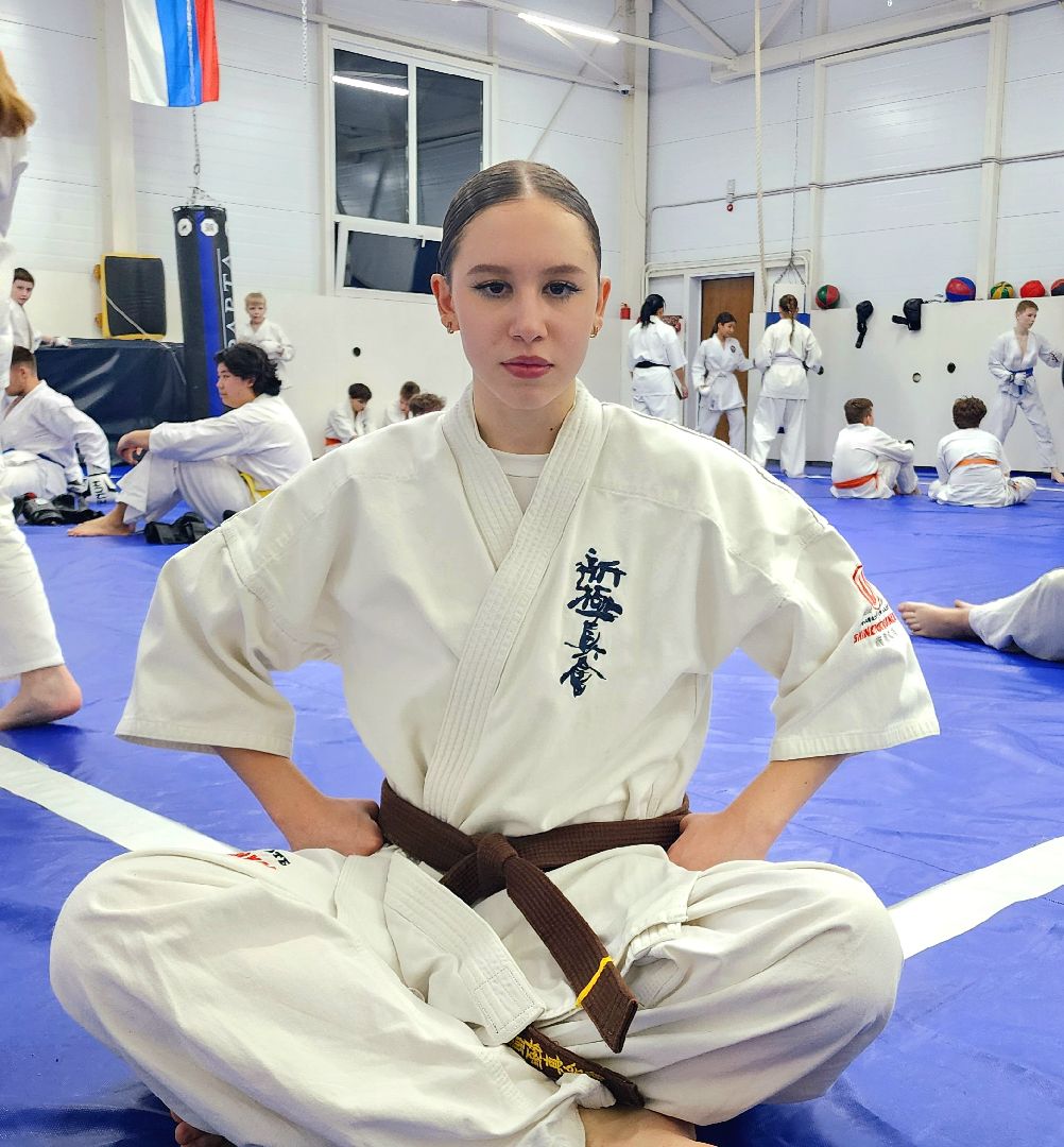 спорт, мастер спорта, россия, домодедово, карате, подмосковье, чемпион, бокс, боевые искусства,