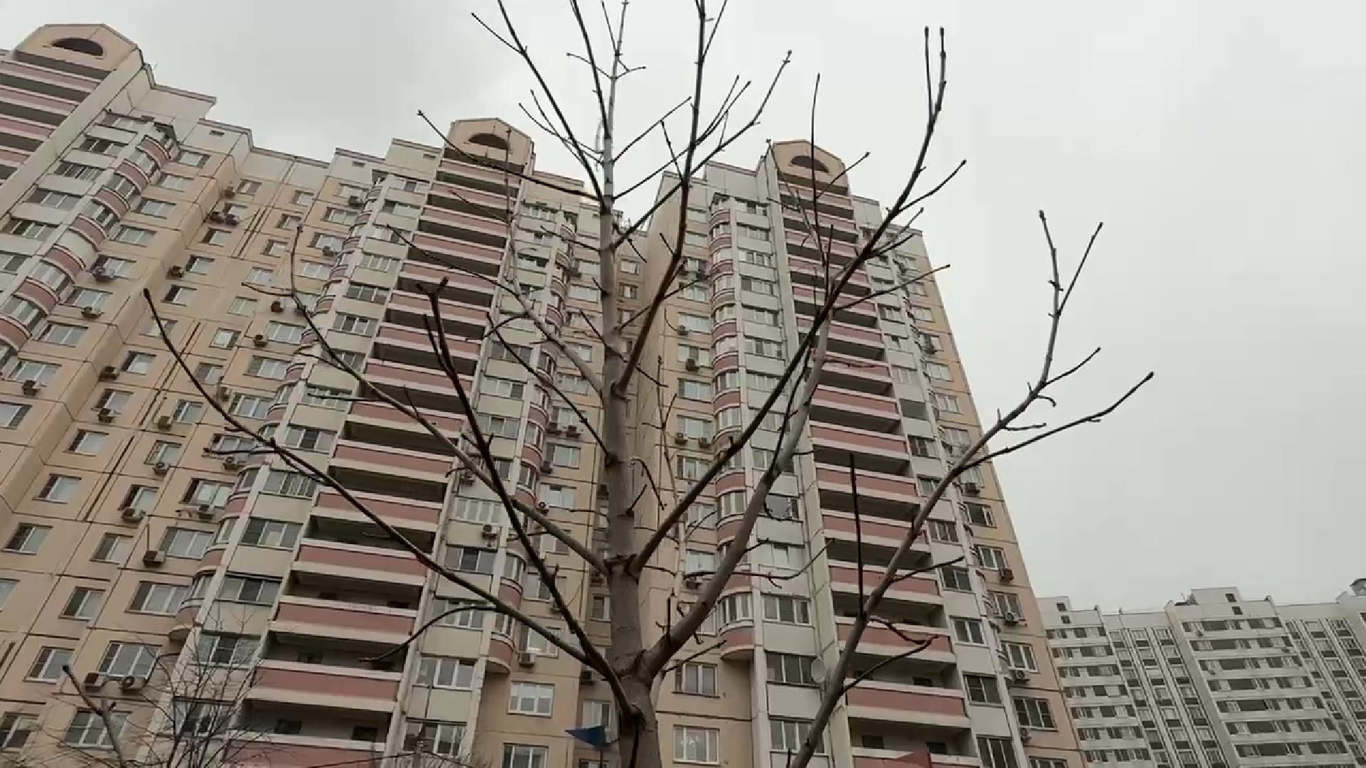 реутов, благоустройство, каштановый сквер, детская площадка, видеонаблюдение,