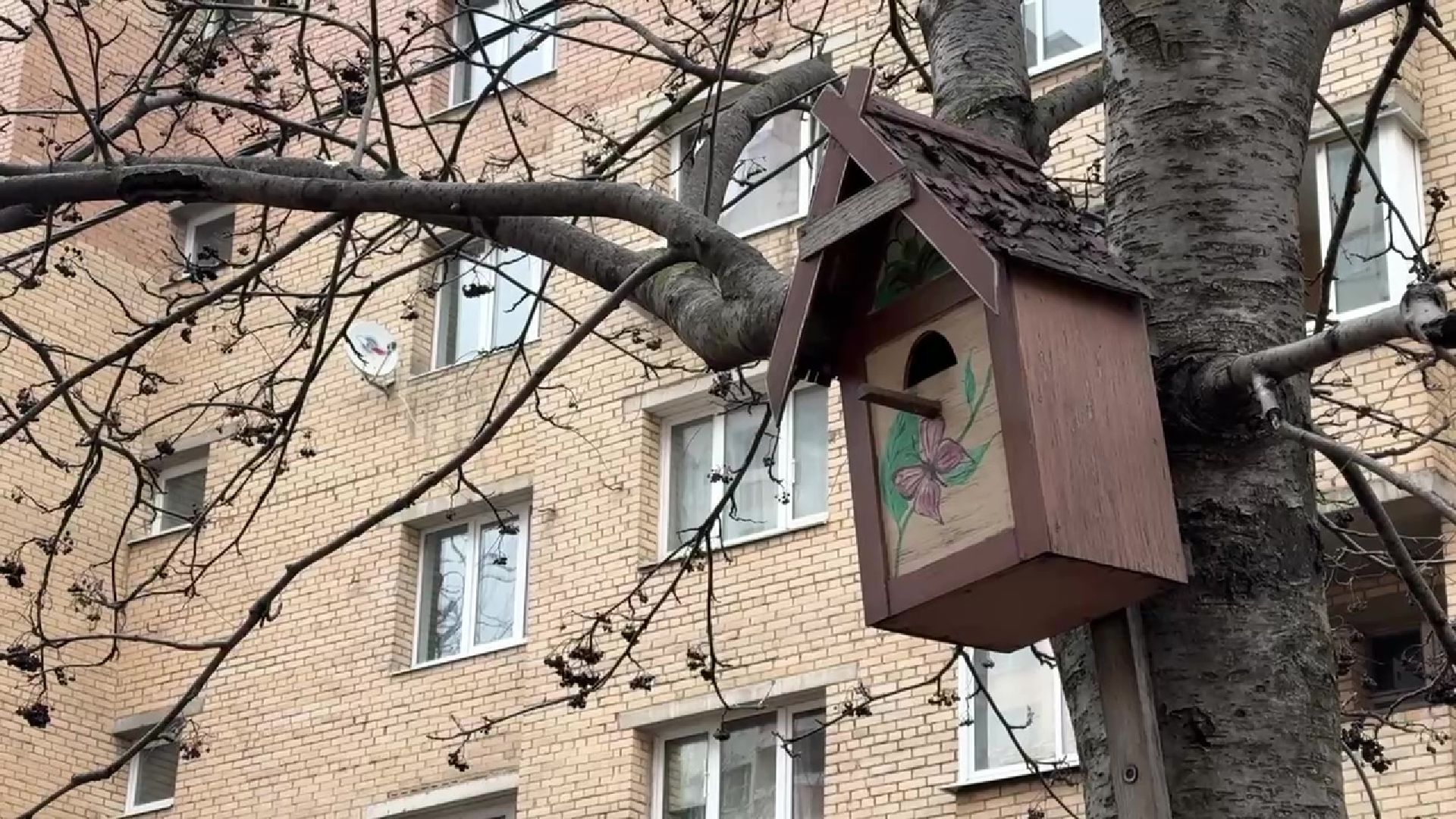 реутов, благоустройство, каштановый сквер, детская площадка, видеонаблюдение,