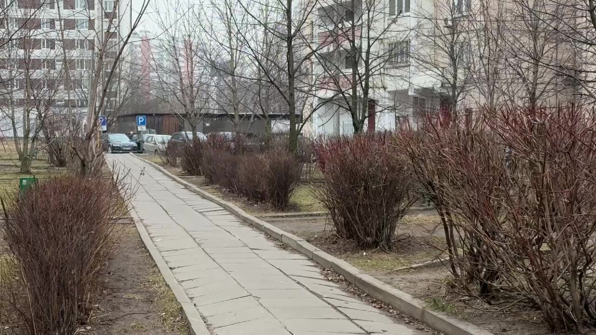 реутов, благоустройство, каштановый сквер, детская площадка, видеонаблюдение,