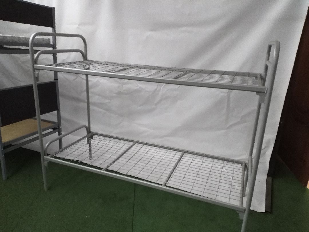 Лосино-Петровский, общество