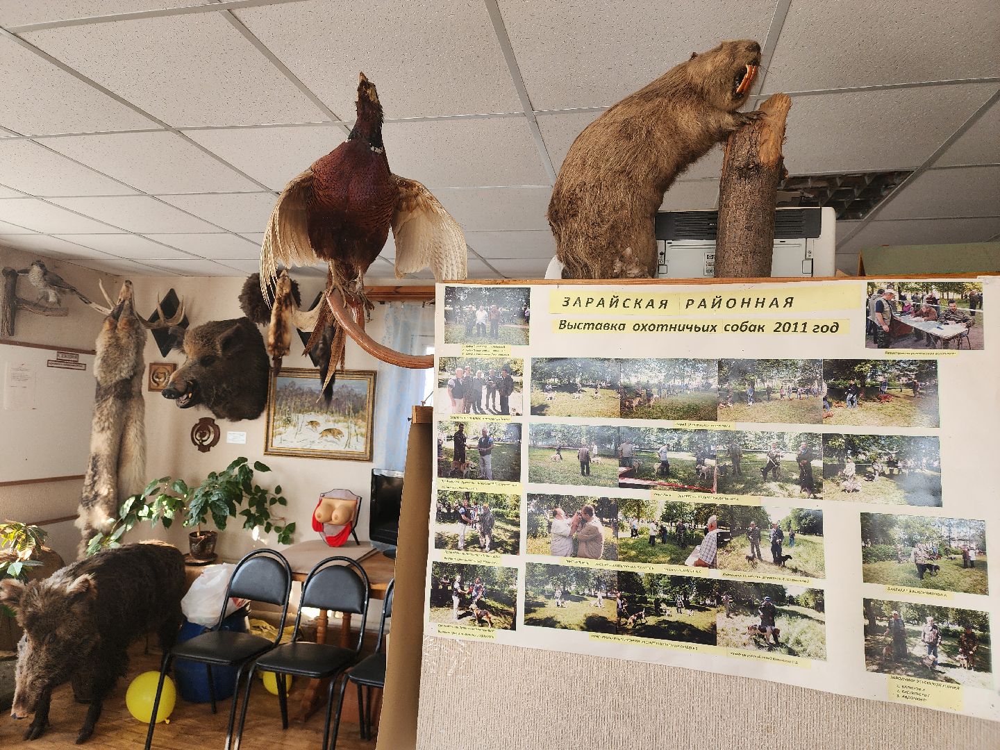 зарайск, весенняя охота, охота на селезня, охота на гуся, охота на вальдшнепа,Открытие охоты в Зарайске,