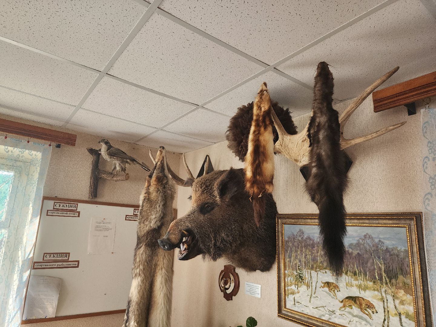 зарайск, весенняя охота, охота на селезня, охота на гуся, охота на вальдшнепа,Открытие охоты в Зарайске,