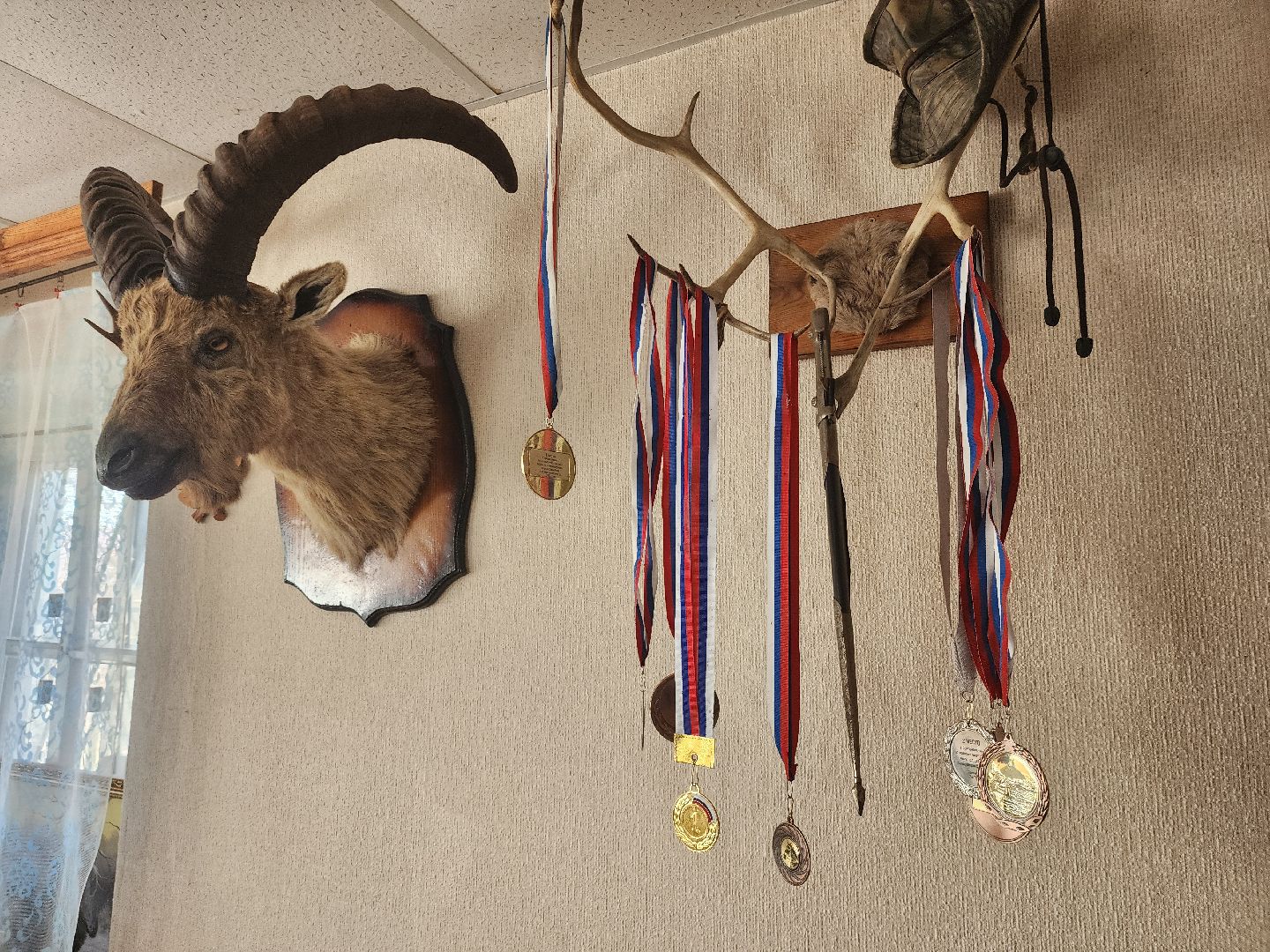 зарайск, весенняя охота, охота на селезня, охота на гуся, охота на вальдшнепа,Открытие охоты в Зарайске,