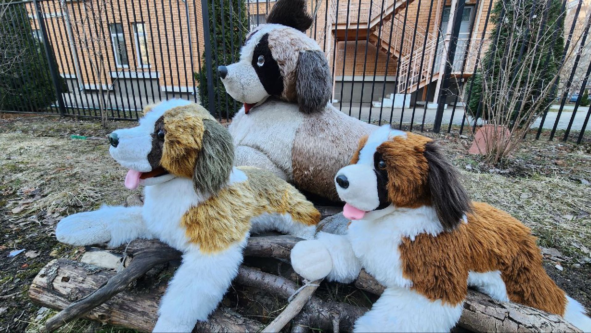 Дмитров, Благоустройство, Люди, Общество,