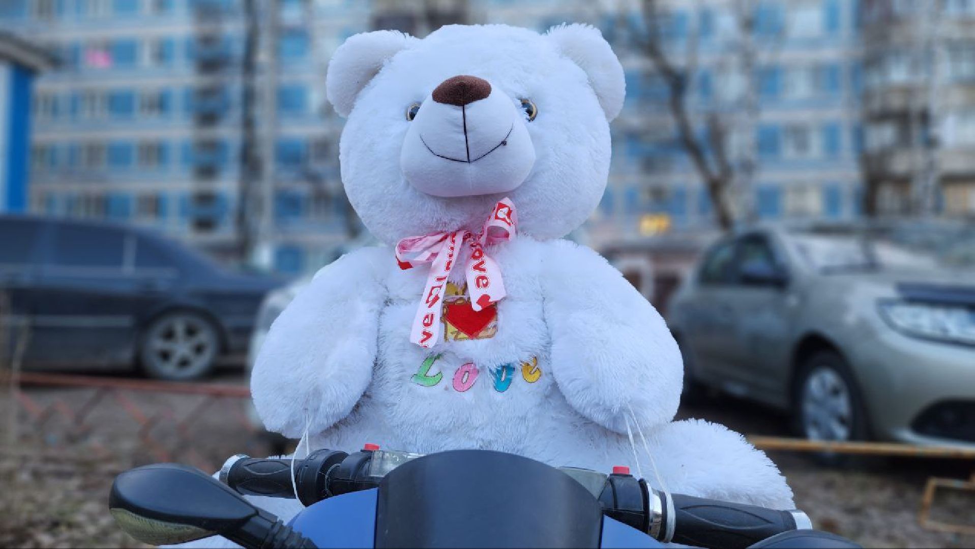 Дмитров, Благоустройство, Люди, Общество,