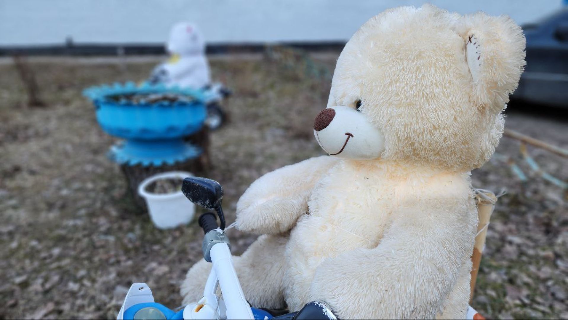 Дмитров, Благоустройство, Люди, Общество,