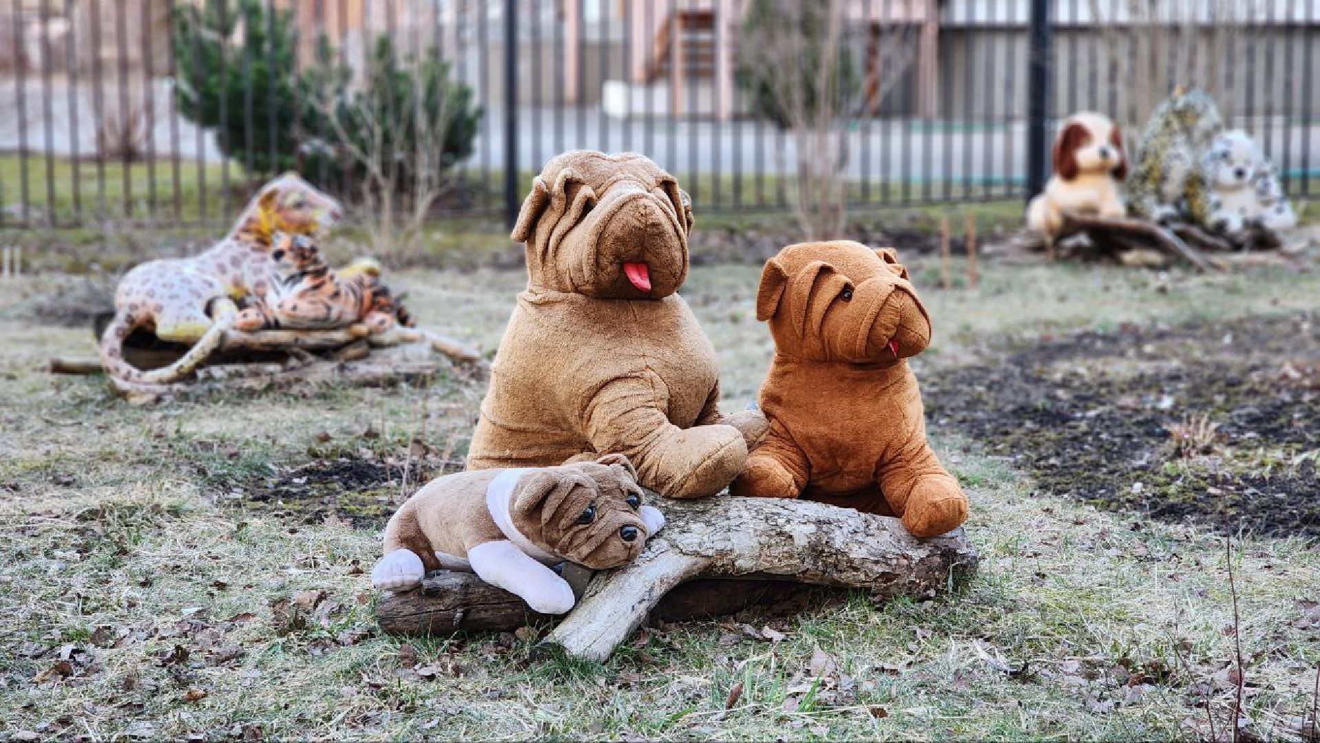 Дмитров, Благоустройство, Люди, Общество,