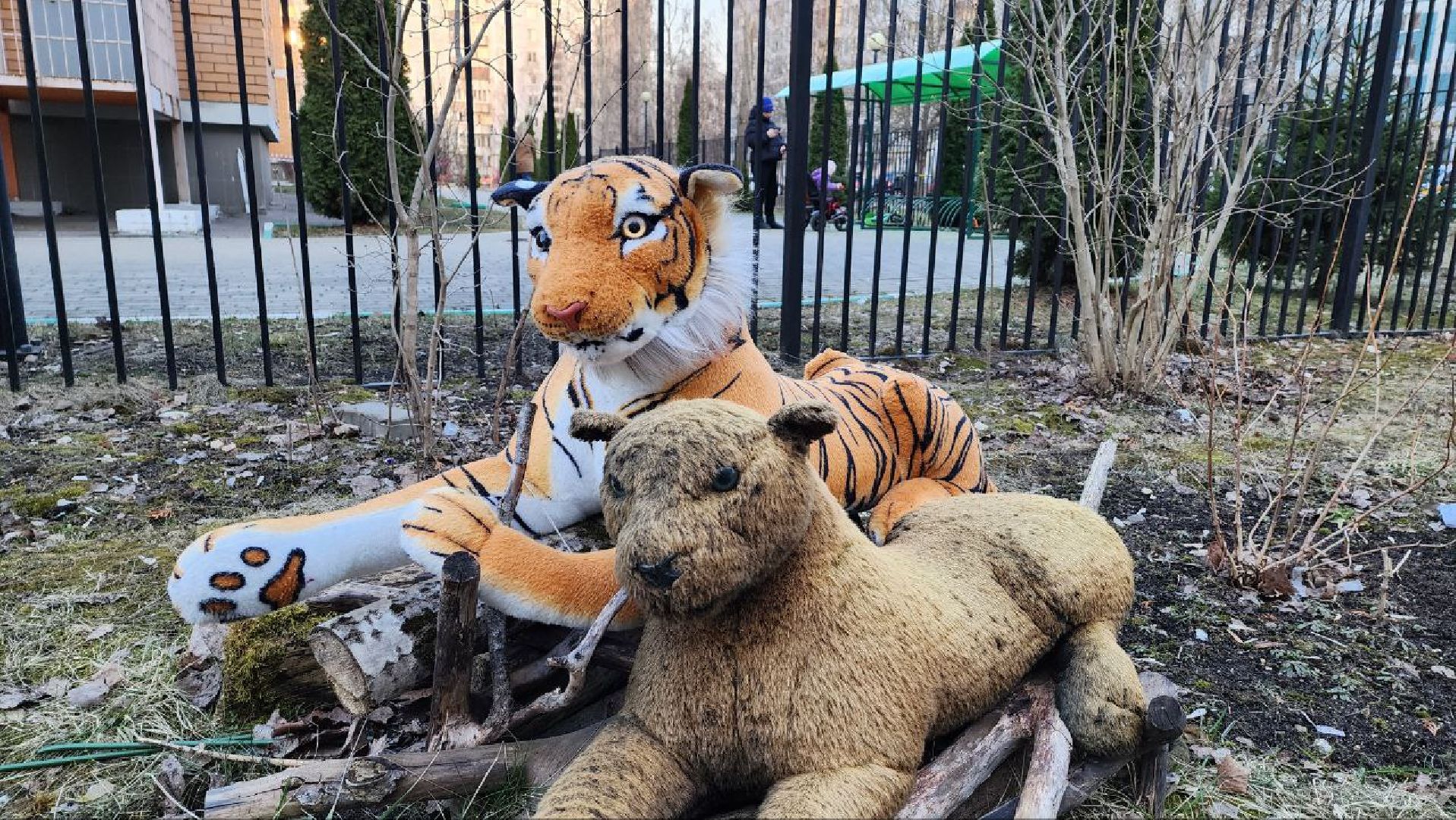 Дмитров, Благоустройство, Люди, Общество,