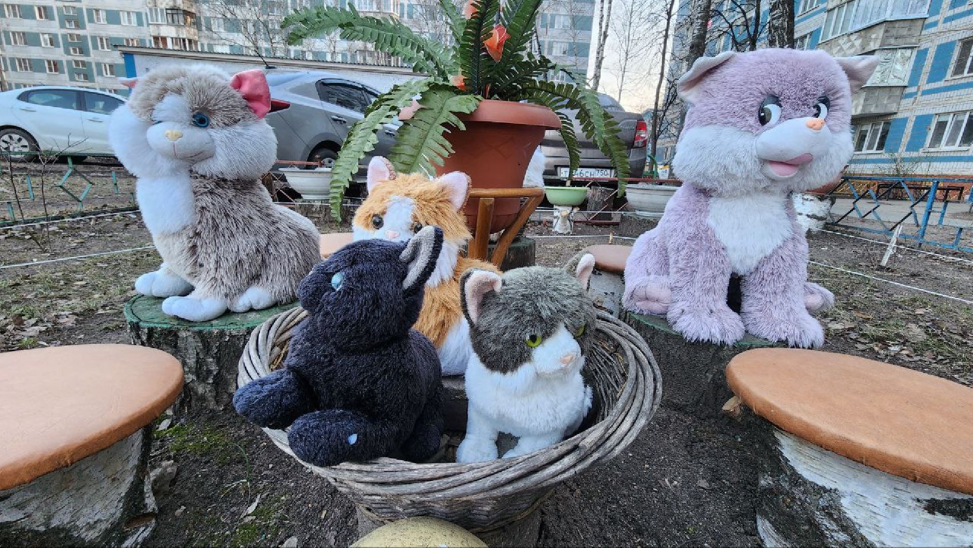 Дмитров, Благоустройство, Люди, Общество,