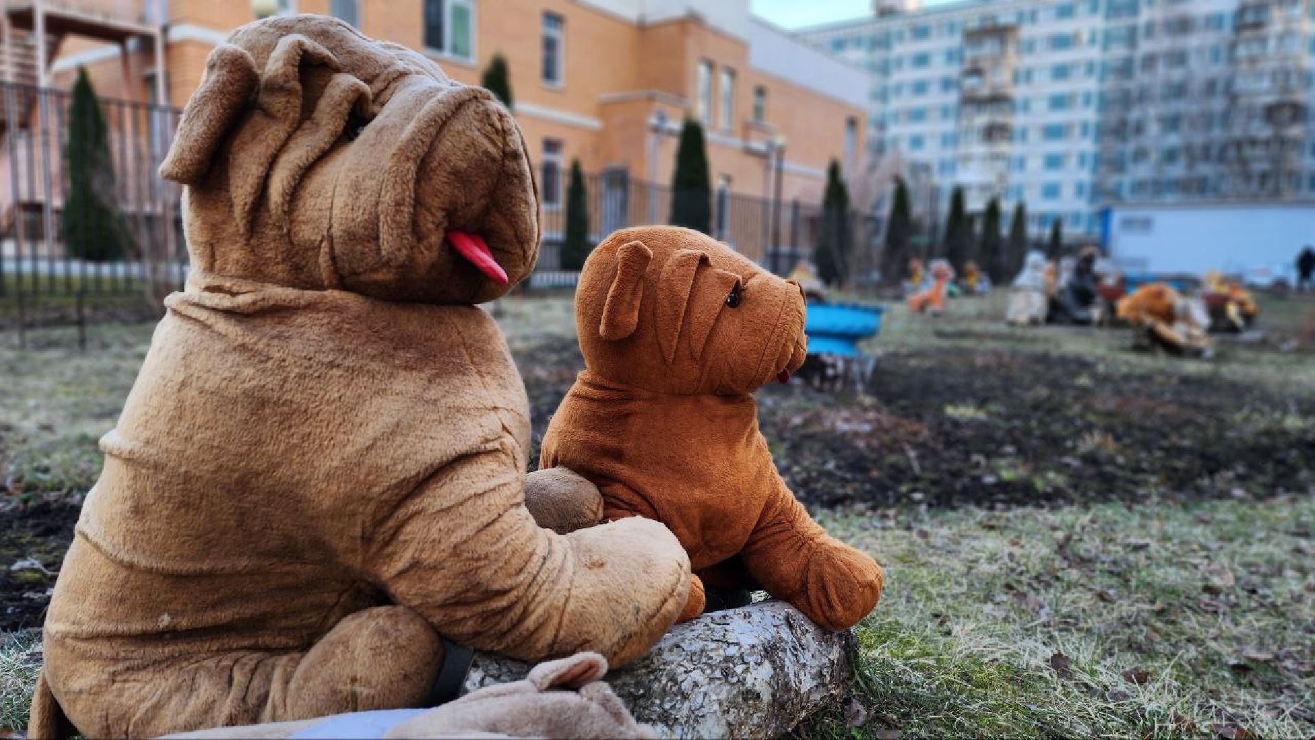 Дмитров, Благоустройство, Люди, Общество,