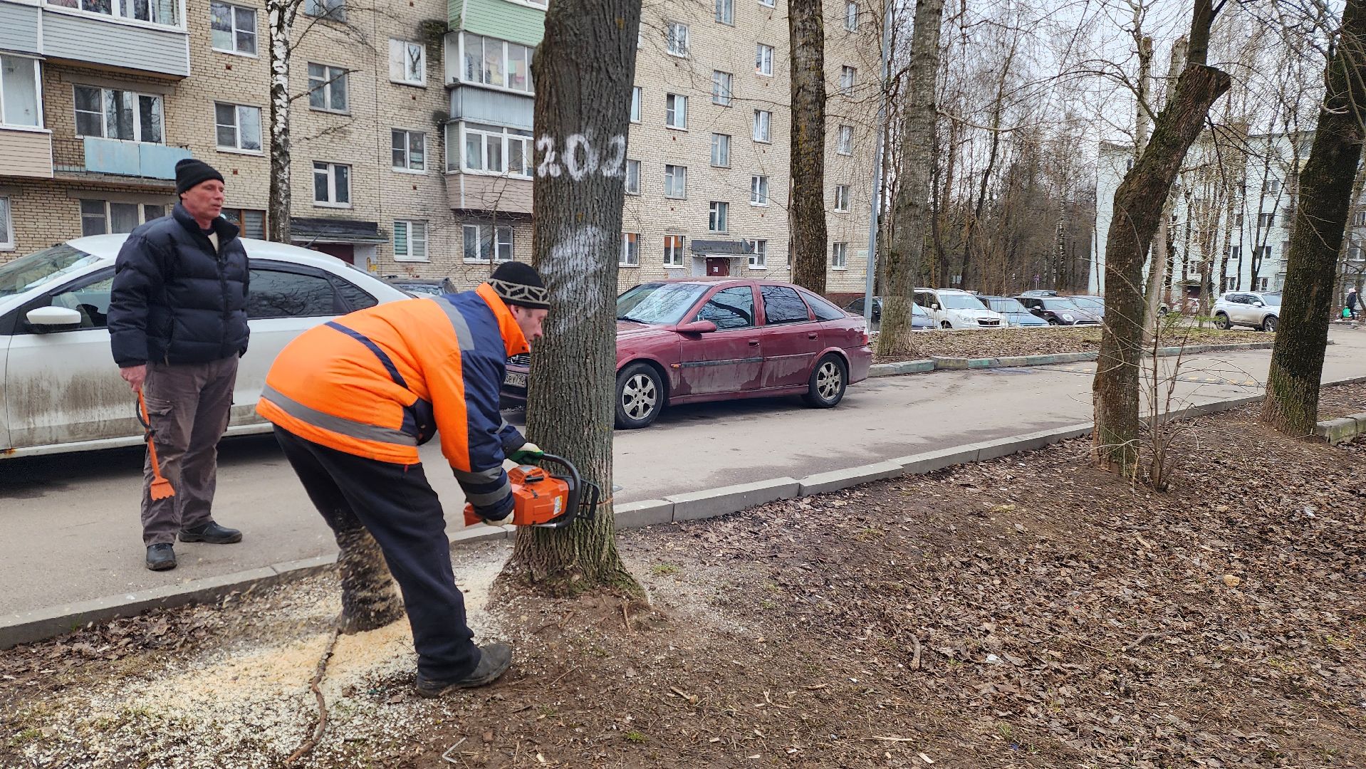 истра, благоустройство, добродел,