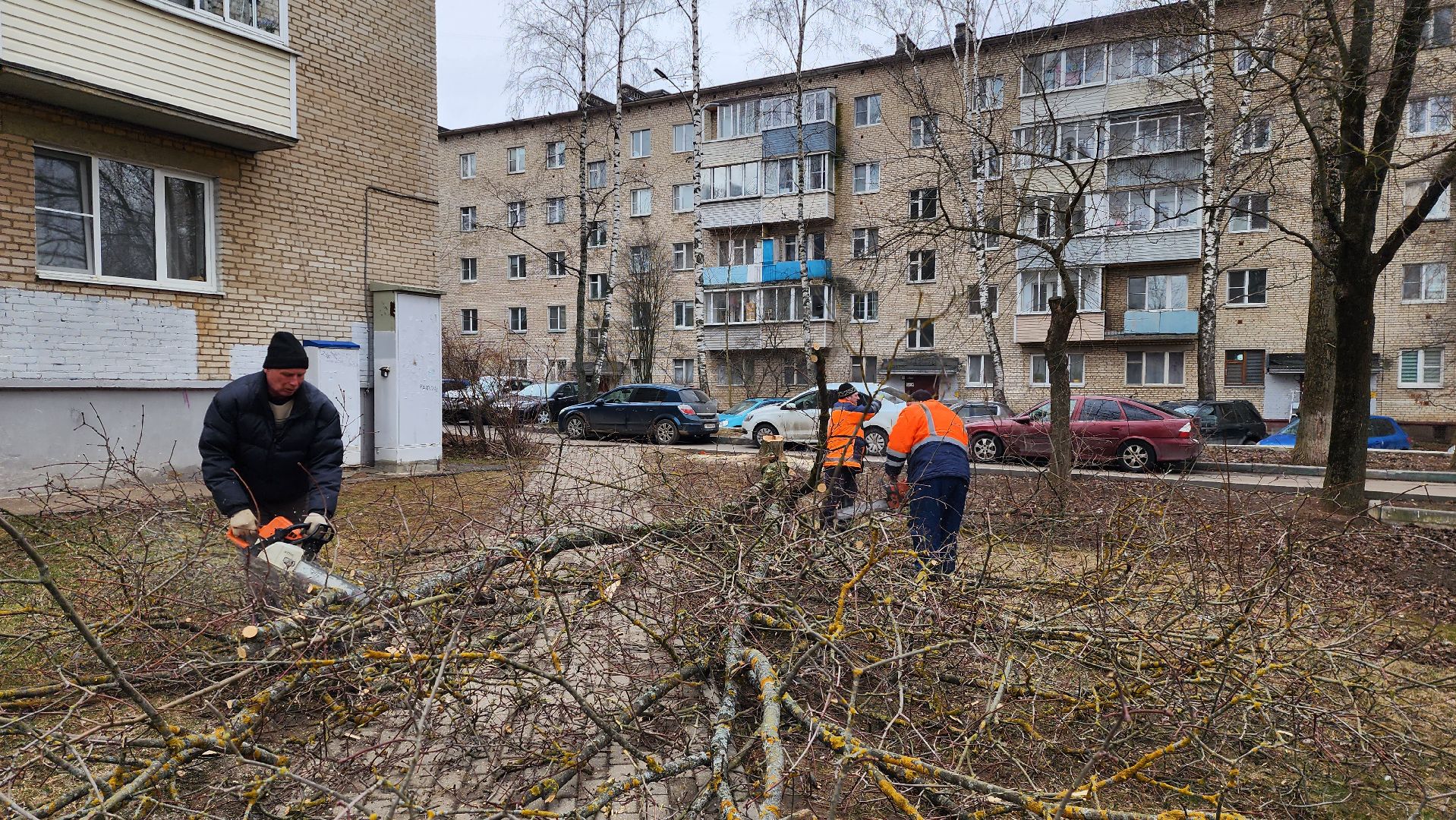 истра, благоустройство, добродел,
