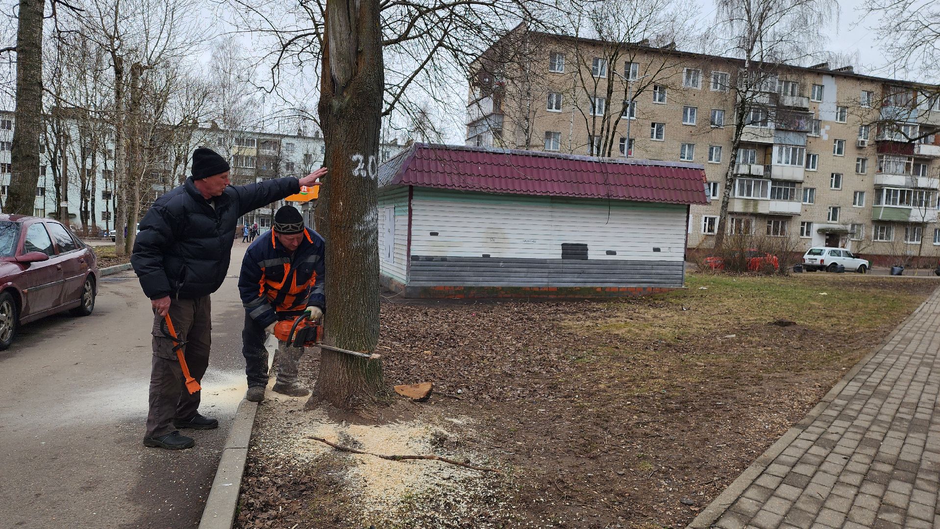 истра, благоустройство, добродел,