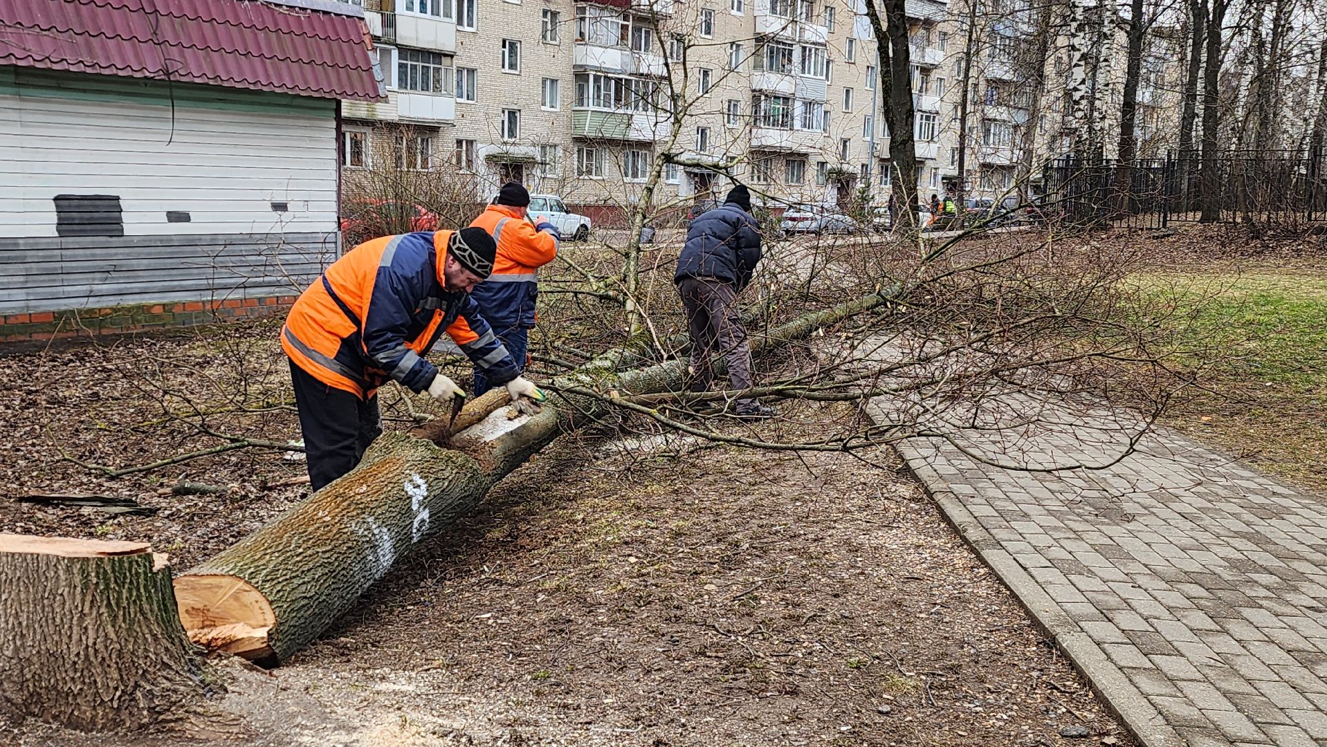 истра, благоустройство, добродел,