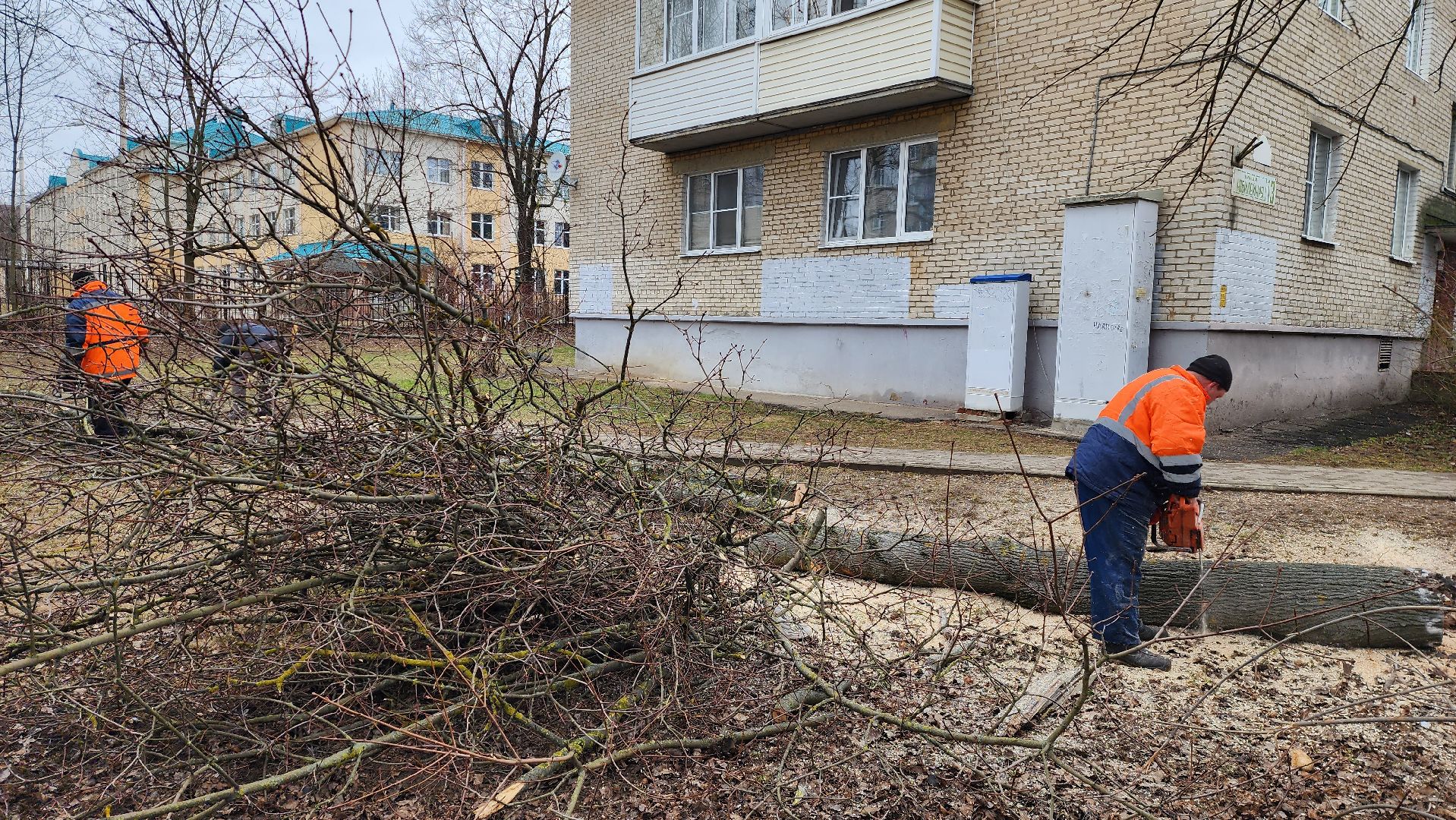 истра, благоустройство, добродел,
