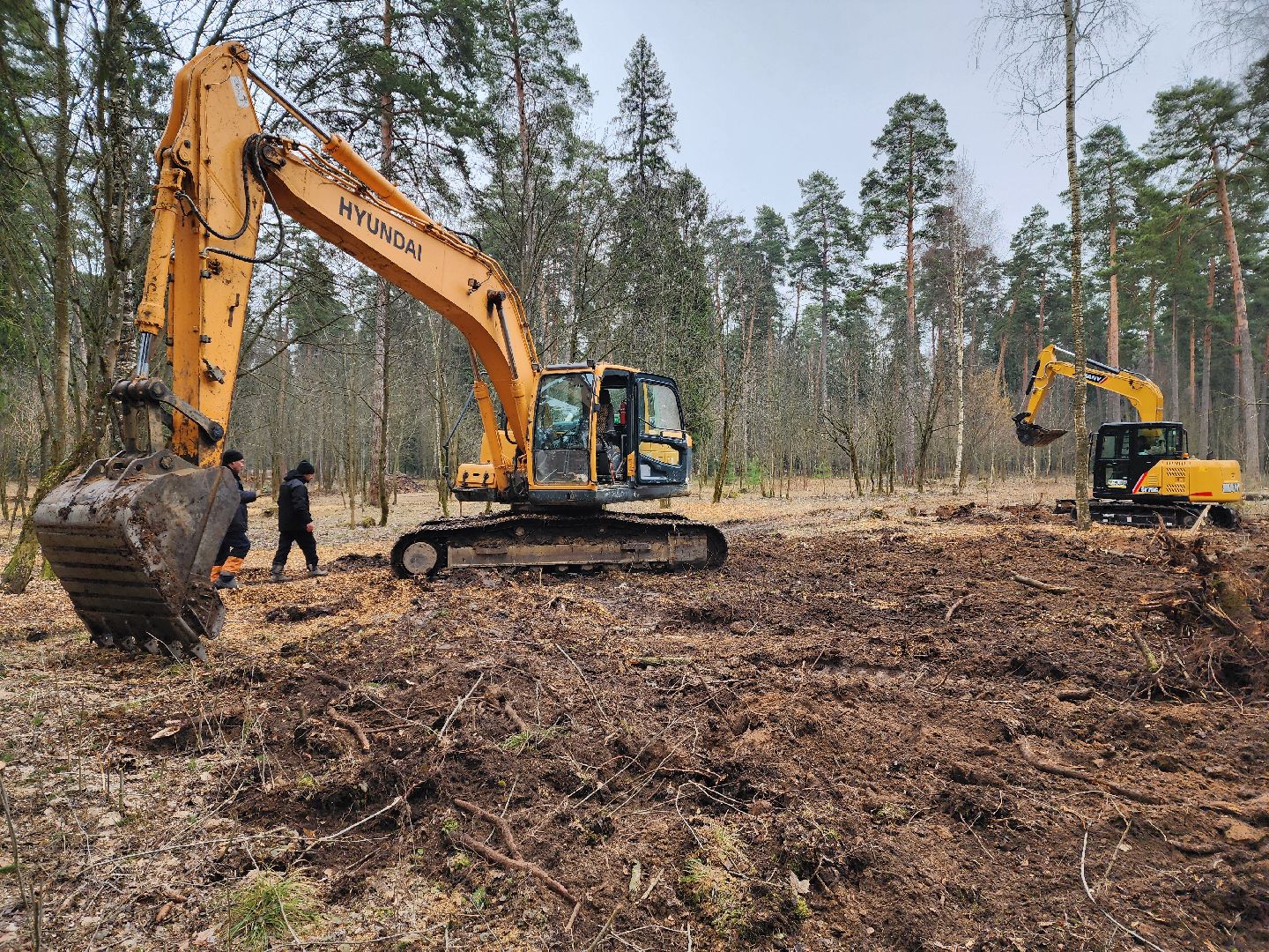 красноармейск, городской округ пушкинский, банный лес, лесопарк,