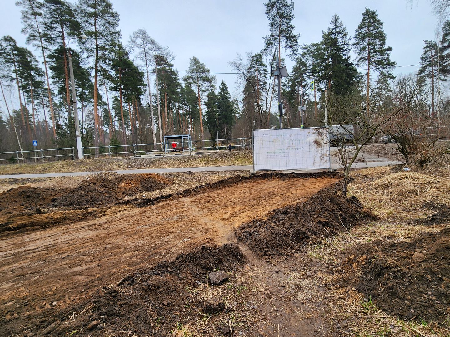 красноармейск, городской округ пушкинский, банный лес, лесопарк,