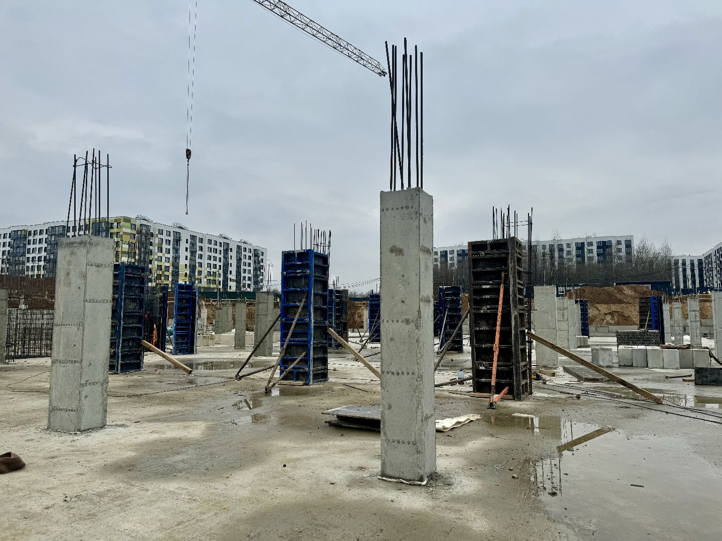 строительство школы, девелоперская компания брусника, ленинский городской округ, ново-молоково,