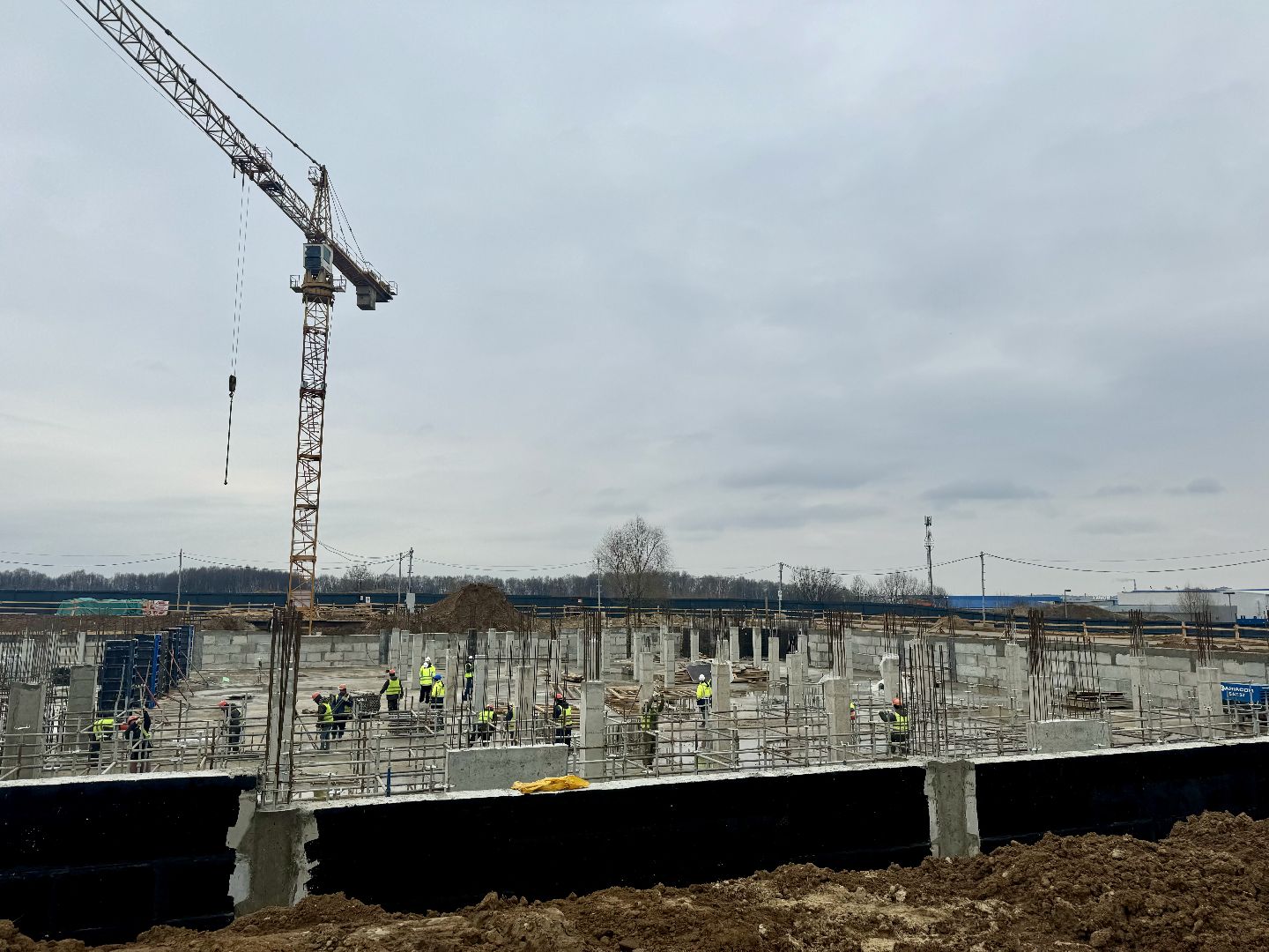 строительство школы, девелоперская компания брусника, ленинский городской округ, ново-молоково,