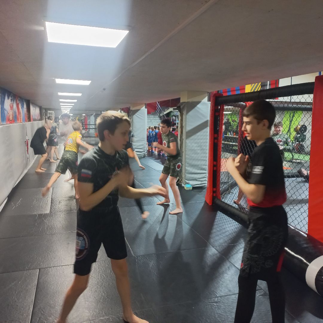 сергиев посад, ММА,первенство,