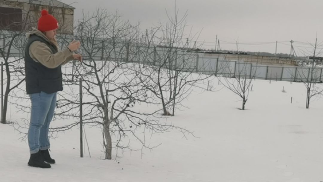 Коломна, общество