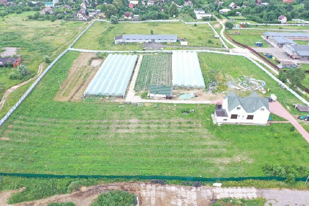 Коломна, общество