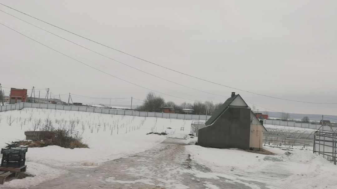 Коломна, общество