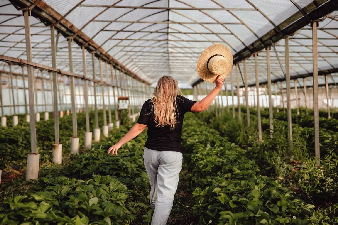 Коломна, общество