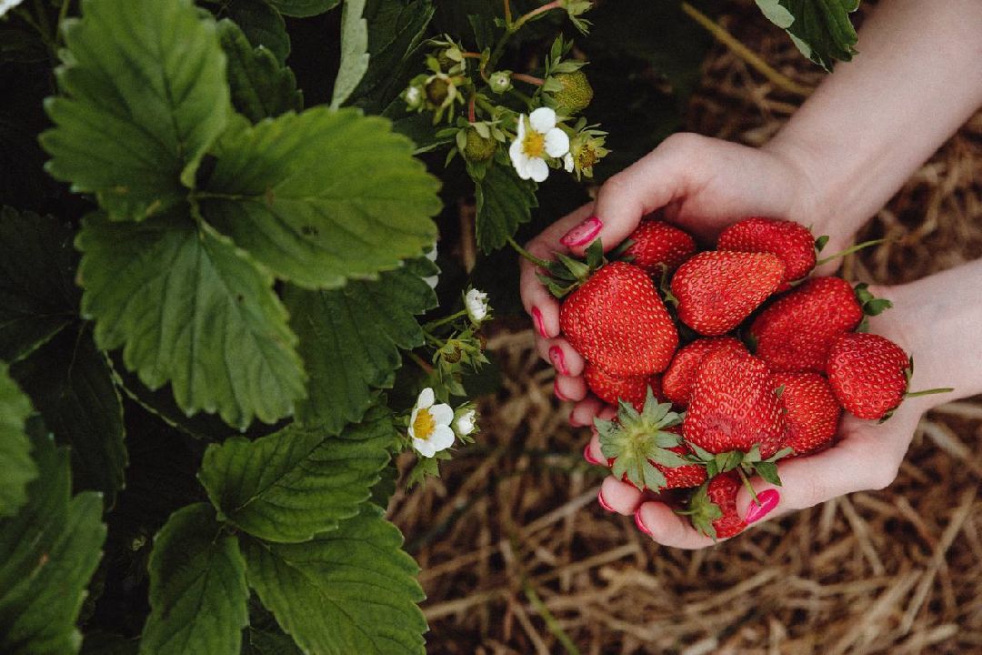 Коломна, общество