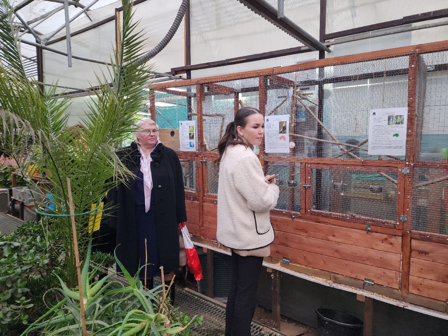 Подольск, Школа 29, Проект, образование в подмосковье,