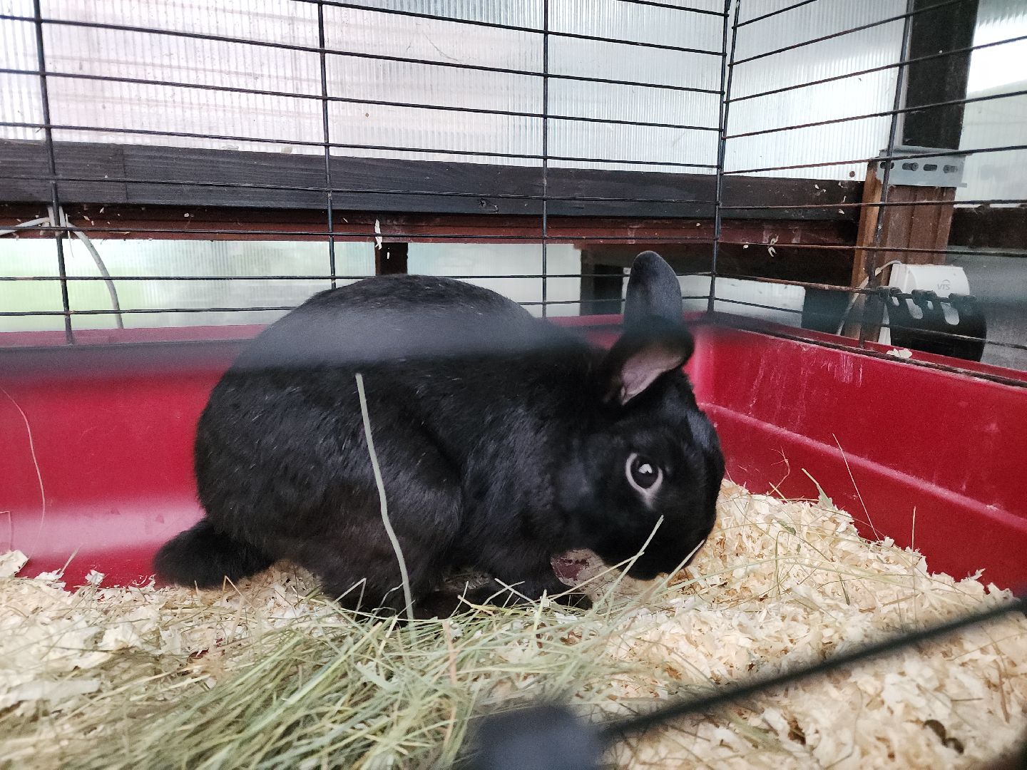 Подольск, Школа 29, Проект, образование в подмосковье,