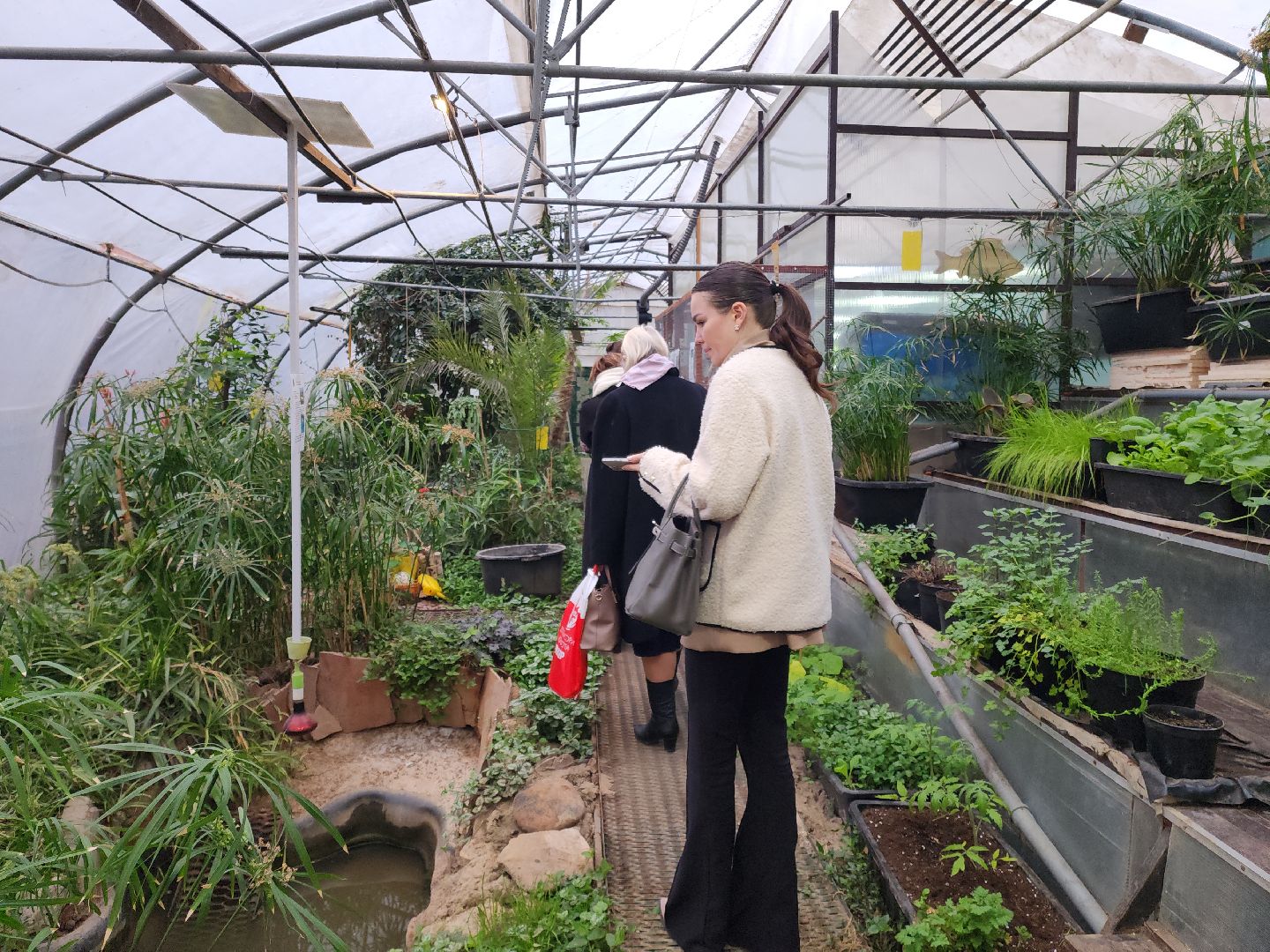 Подольск, Школа 29, Проект, образование в подмосковье,