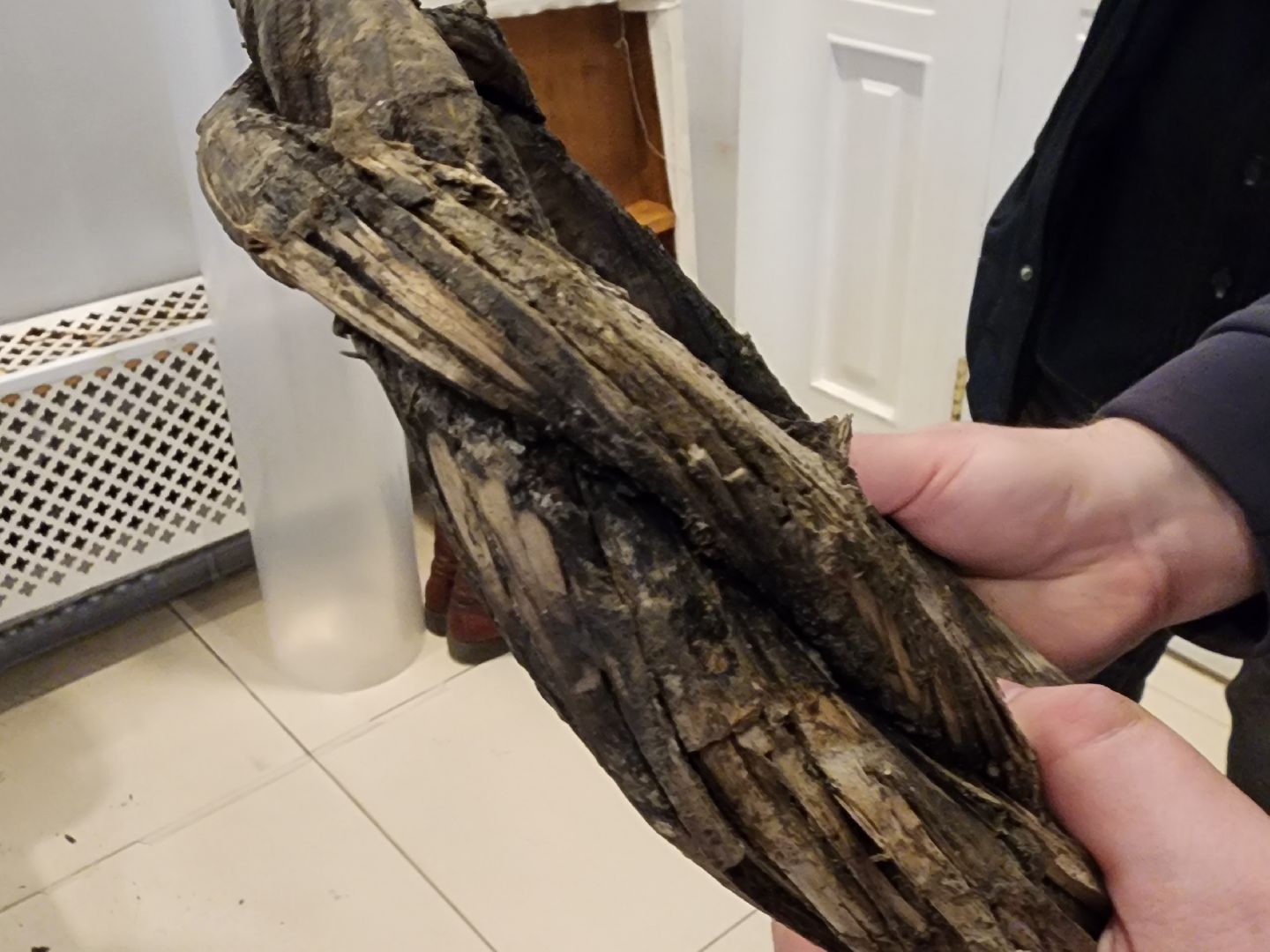 сергиев посад, троице-сергиева лавра, раскопки, сергиево-посадский музей-заповедник,древний водопровод,