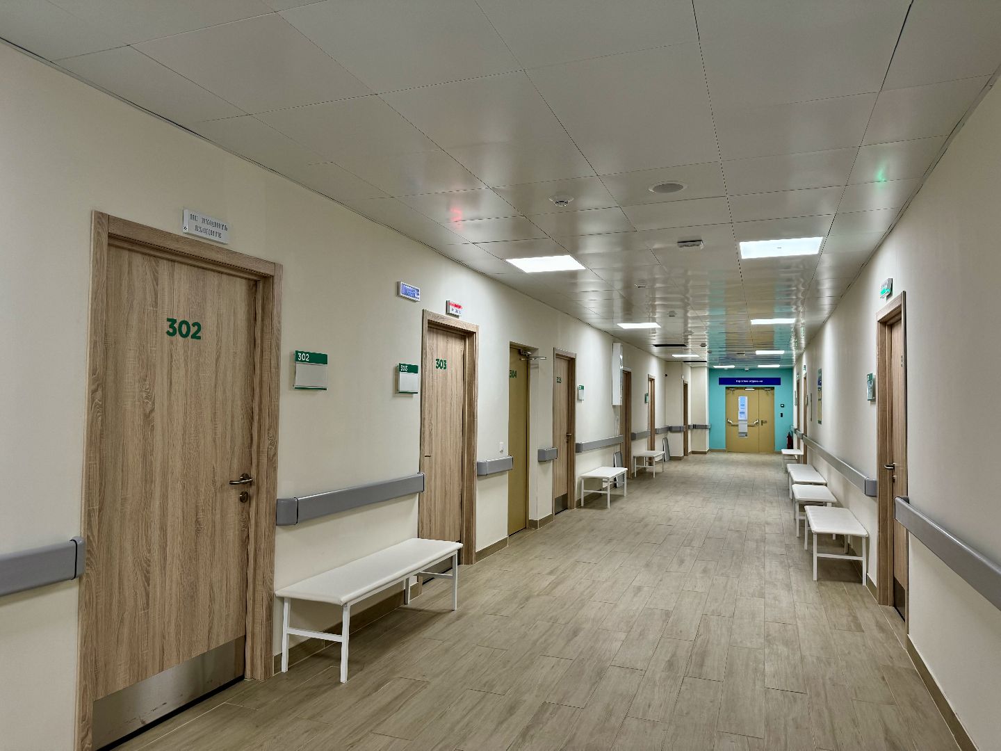 Врач аллерголог-иммунолог, Новый врач-аллерголог, ленинский городской округ, видновская клиническая больница,