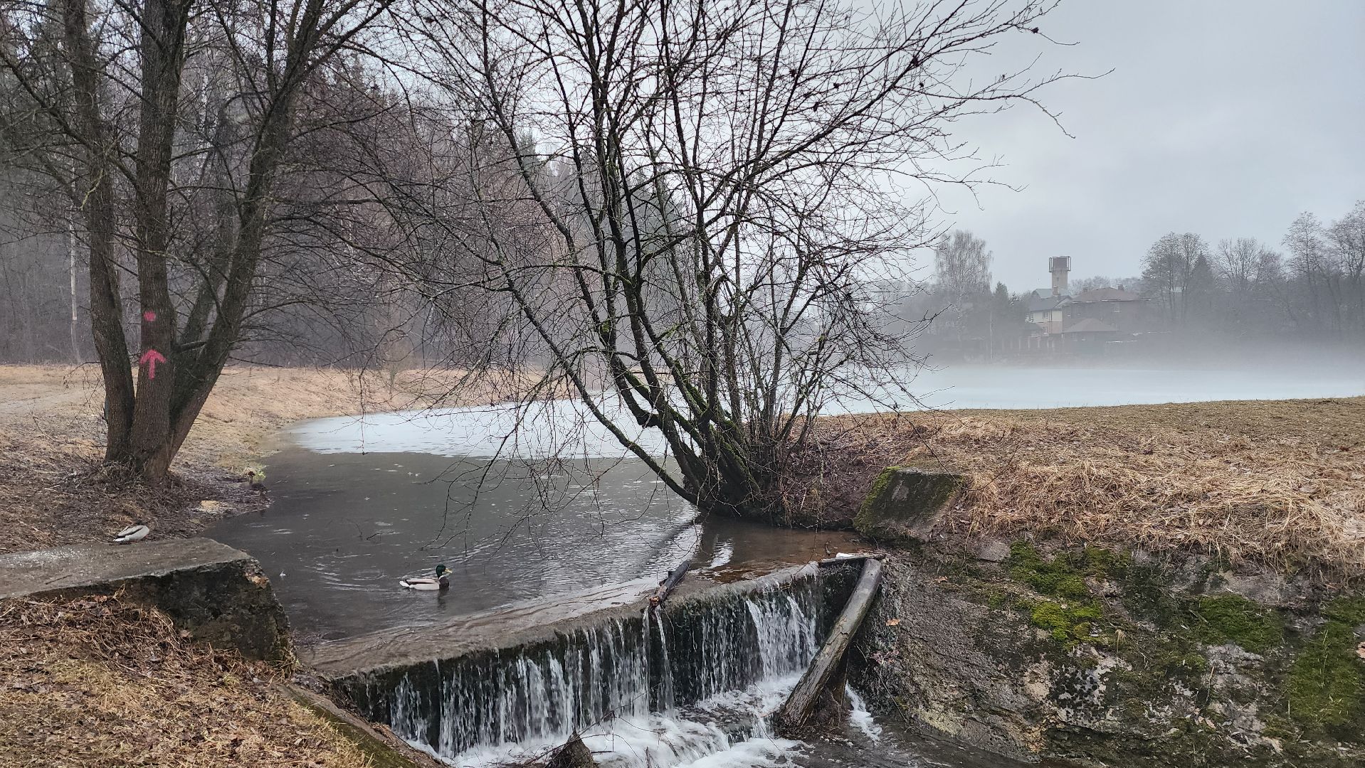истра, выездная администрация, общество,